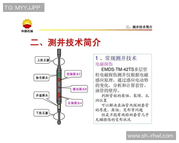 武汉排球队在锦标赛中的技术表现分析与点评