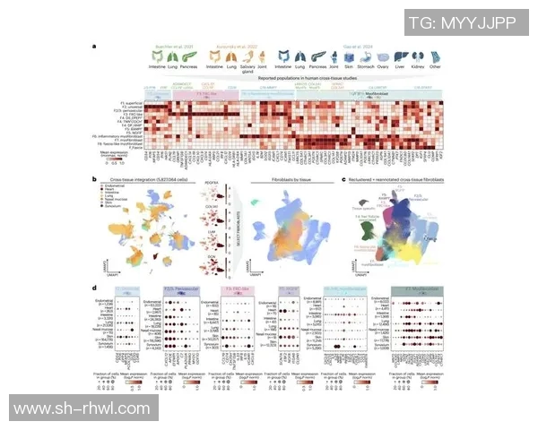 武汉攀岩队节奏表现数据分析揭示训练与比赛的关键因素 武汉攀岩队节奏表现数据分析揭示训练与比赛的关键因素