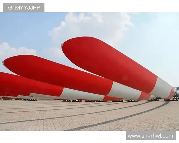 深度对话陈静排球人生的奋斗与梦想之路