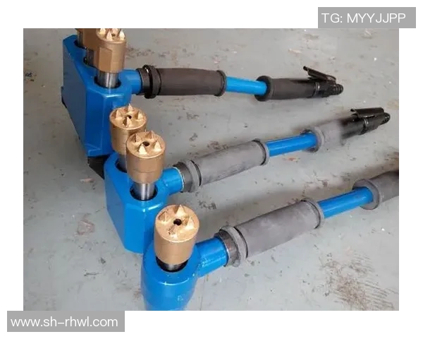 独家深度解析LNG耐力对比及其市场影响因素分析